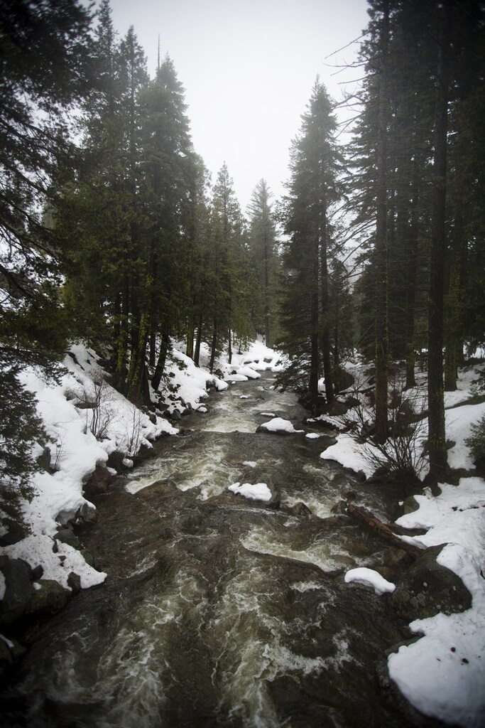 The south fork of the American River flows with snowmelt near Strawberry, California in this March 2, 2009 file photo. Water raised leafy green Los Angeles from the desert and filled arid valleys with the nation's largest fruit and vegetable crop. Each time more water was needed, another megaproject was built, from dams of the major rivers to a canal stretching much of the length of the state.But those methods are near their end. There is very little water left untapped and global warming, the gradual increase of temperature as carbon dioxide and other gases retain more of the sun's heat, has created new uncertainties. To match feature WATER/ REUTERS/Max Whittaker/Files (UNITED STATES ENVIRONMENT ENERGY) - GM1E53A0MNW01