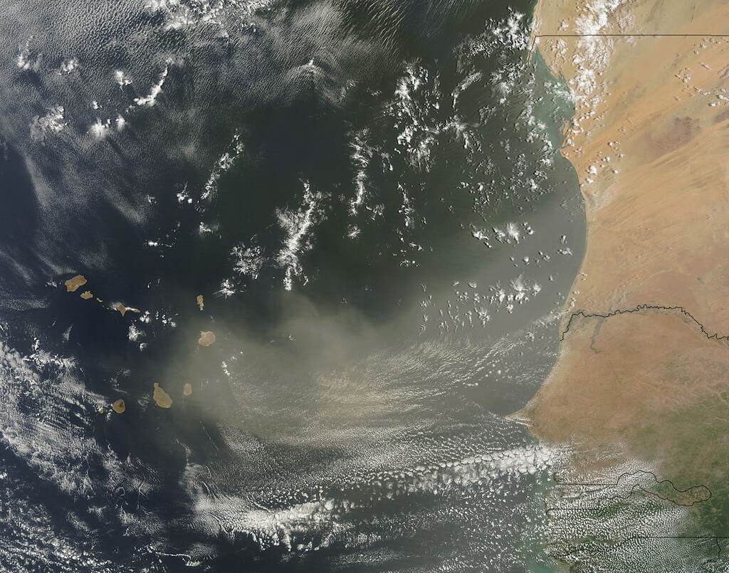 A dust storm off West Africa is shown in this July 19, 2013 NASA satellite image handout. REUTERS/NASA/Handout via Reuters (