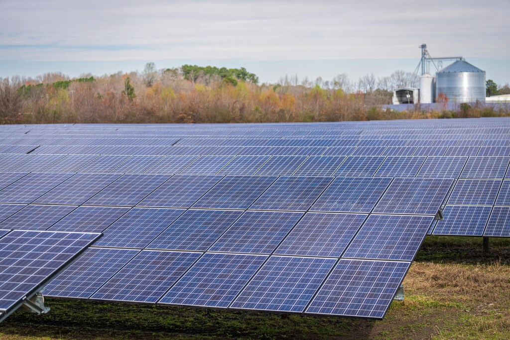 Africa's energy sector needs are growing rapidly, but the continent has the potential to be a leader in green energy production.