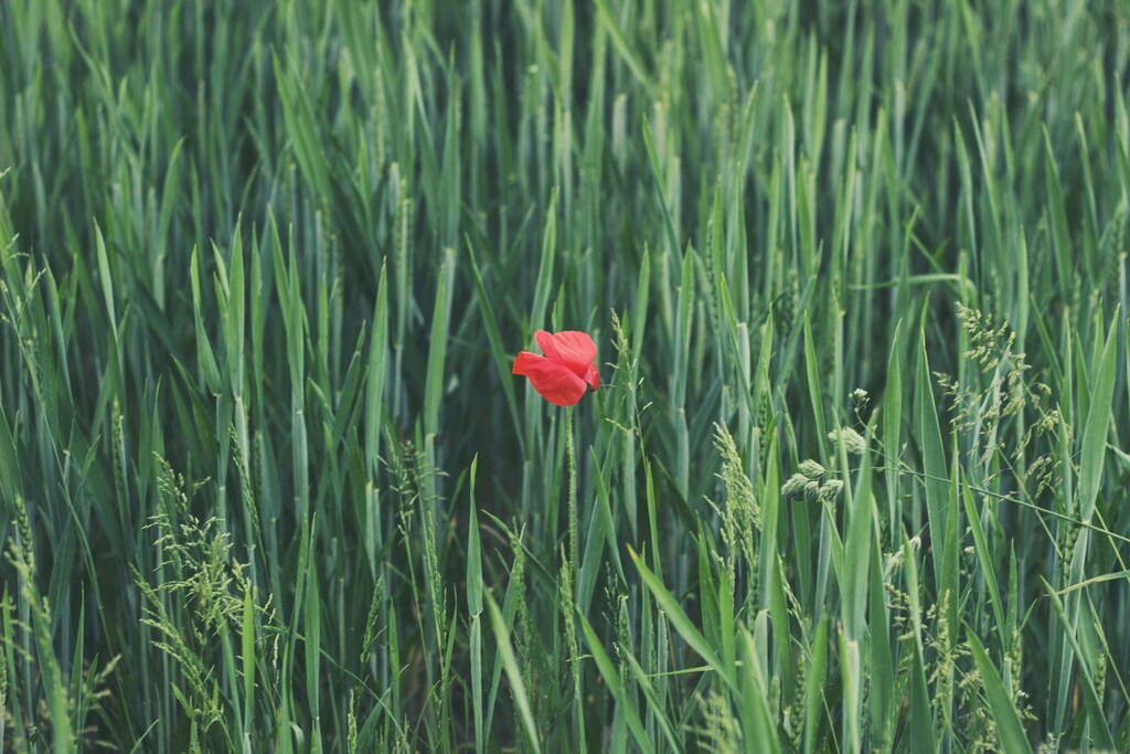 Kai on Unsplash