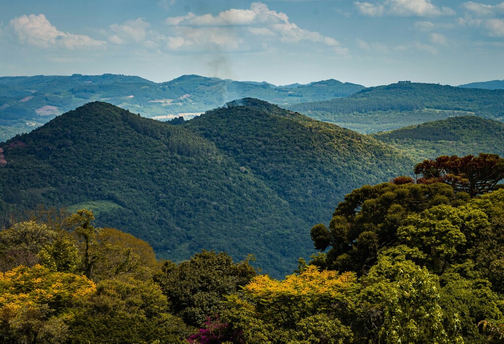 COP30 in Bélem, Brazil, has been hailed as a 'implementation COP'.
