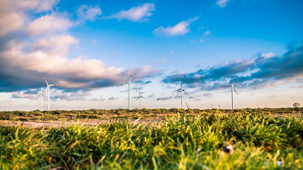 image of a wind farm