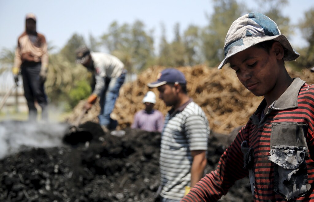 Labourers work at a traditional charcoal factory at a village in Qaha, El-Kalubia governorate, near Cairo, May 7, 2015. Each labourer works approximately 10 hours and earns a daily wage of 70 Egyptian pounds ($9) per day. Last year Egypt approved expanded industrial coal use to help it confront its worst energy crisis in decades. But acknowledging environmental concerns, it says it has also tightened enforcement of regulations related to local coal burning and domestic charcoal production. Picture taken May 7, 2015. REUTERS/Amr Abdallah Dalshâ¨