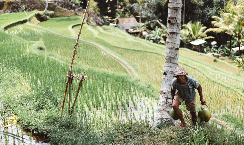 Indonesia has allocated debit cards to help poor residents purchase food.