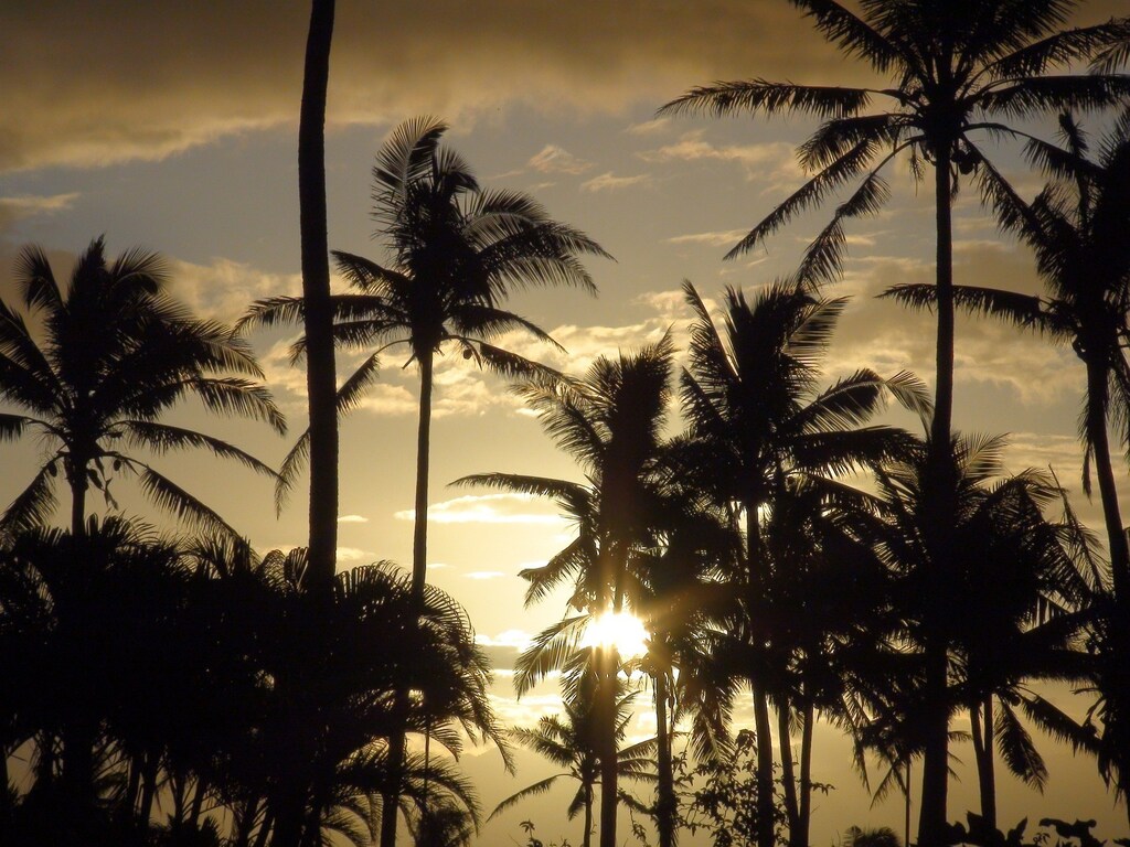 Fiji National Climate Finance Strategy economic sectors climate change adaptation decarbonization