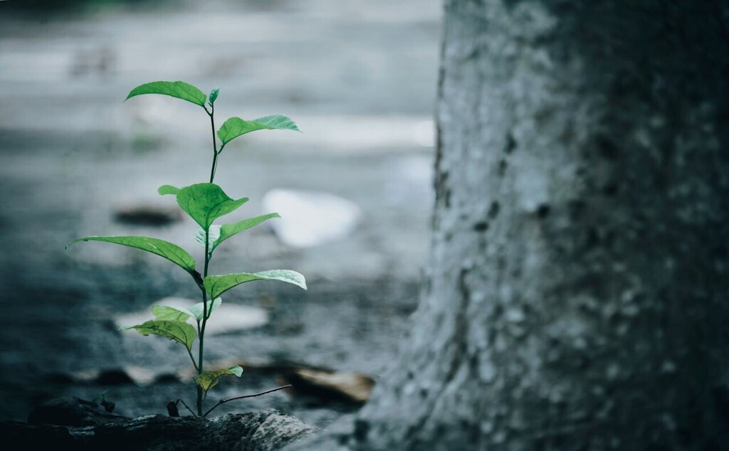 Article 2.1(c) aims to align financial flows with the goals of the Paris Agreement.