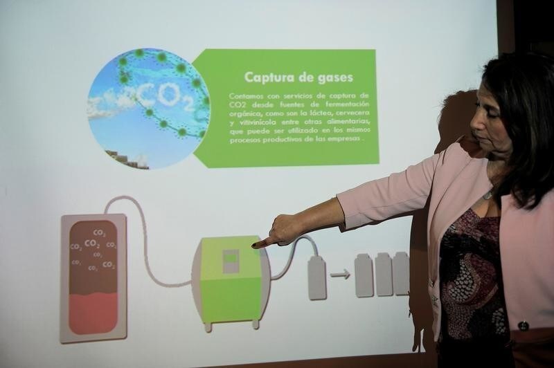 A laboratory worker shows an illustration about a project to capture and reuse greenhouse gases produced in the wine industry, in Concepcion, Chile December 21, 2018. Picture taken December 21, 2018. REUTERS/Jose Luis Saavedra - RC11A8E34AE0
