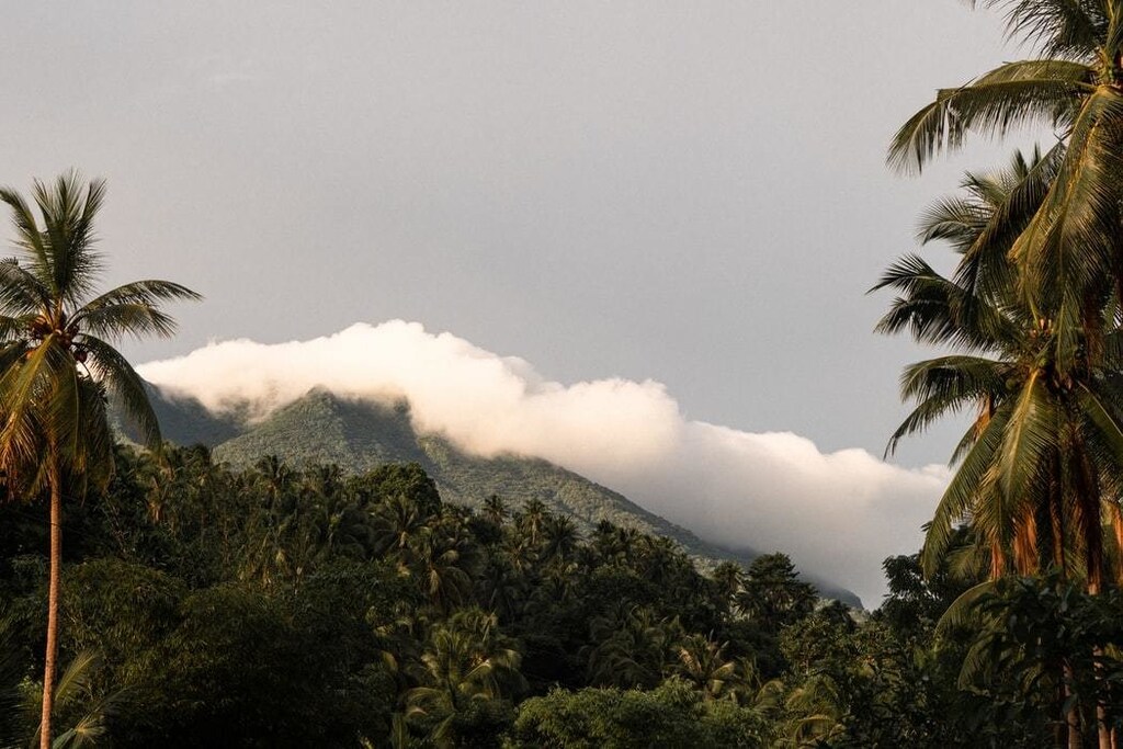 Forest in the Philippines that could be reforested.