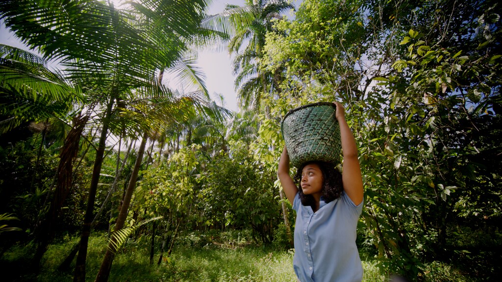 A new six-part docuseries highlights the people at the forefront of climate change innovation.