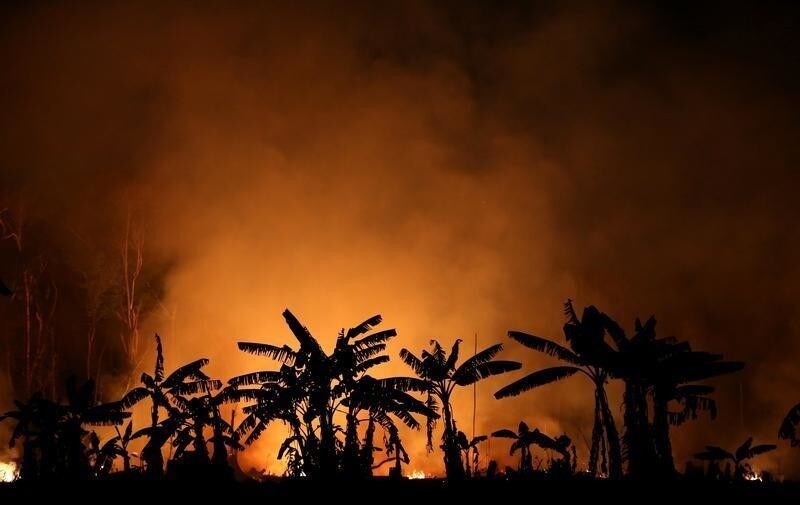 A fire burns a tract of Amazon jungle near Porto Velho, Brazil September 9, 2019. Picture taken September 9, 2019. REUTERS/Bruno Kelly - RC17A4E19AF0