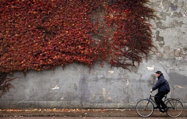 A cyclist rides past autumn-colored ivy climbing the wall of a building in downtown Copenhagen November 2, 2010. REUTERS/Bob Strong (DENMARK - Tags: ENVIRONMENT TRANSPORT SOCIETY)