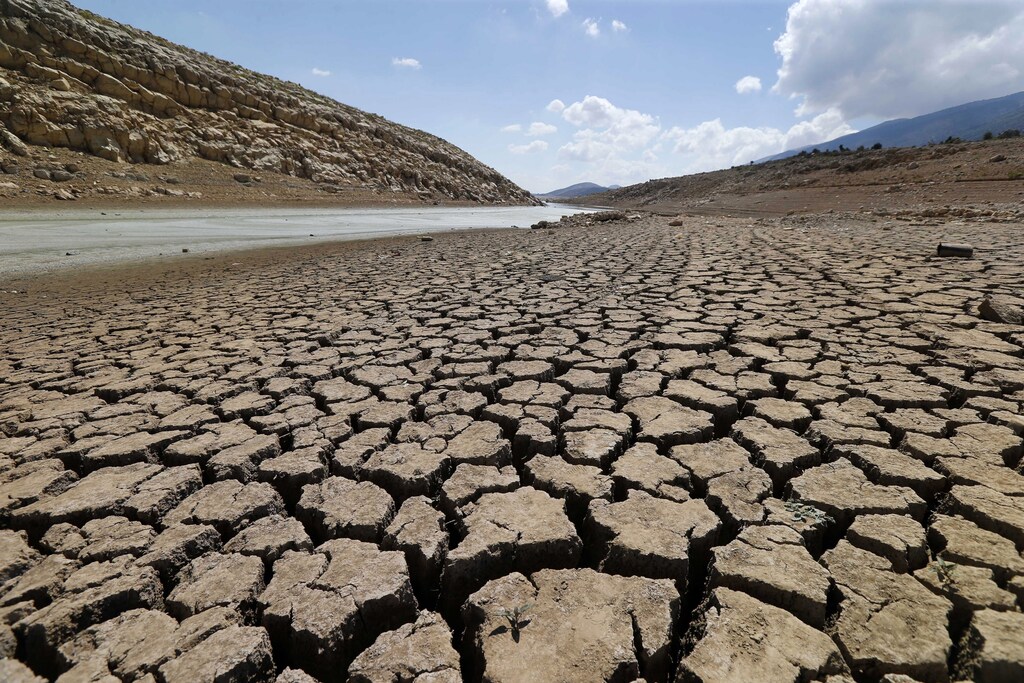 The dried cracked bed of the Qaraoun artificial lake is seen in West Bekaa, September 19, 2014. Unusually warm weather and low rain levels in Lebanon this year has caused the unusual drying of the Litani river that feeds the Qaraoun artificial lake, residents said. Picture taken September 19, 2014. REUTERS/ Mohamed Azakir (LEBANON - Tags: ENVIRONMENT) - GM1EA9M04PK01