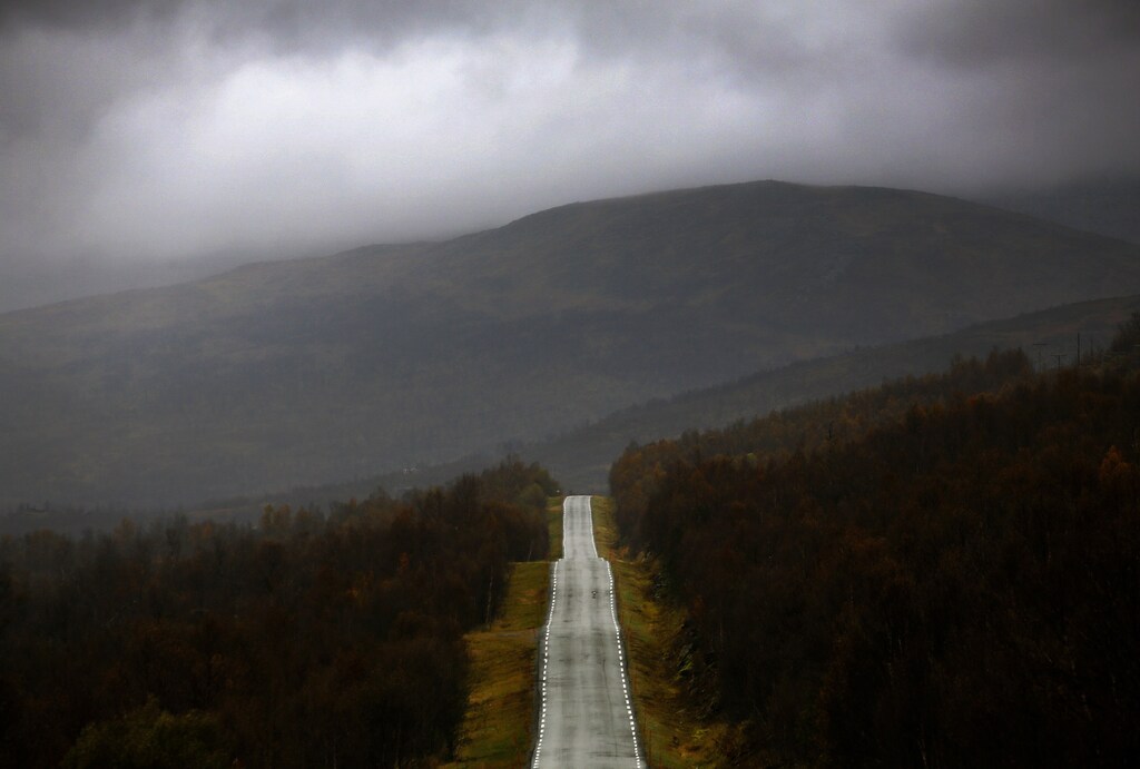 A road cuts through a forest during a rainy day on the island of Senja, north of the Arctic Circle in Norway September 29, 2014.REUTERS/Yannis Behrakis (NORWAY - Tags: ENVIRONMENT TRAVEL TPX IMAGES OF THE DAY) - GM1EA9U0EL901