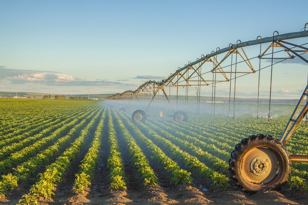 Potato field irrigated by a pivot sprinkler system: Stabilizing the global food system requires collaboration.