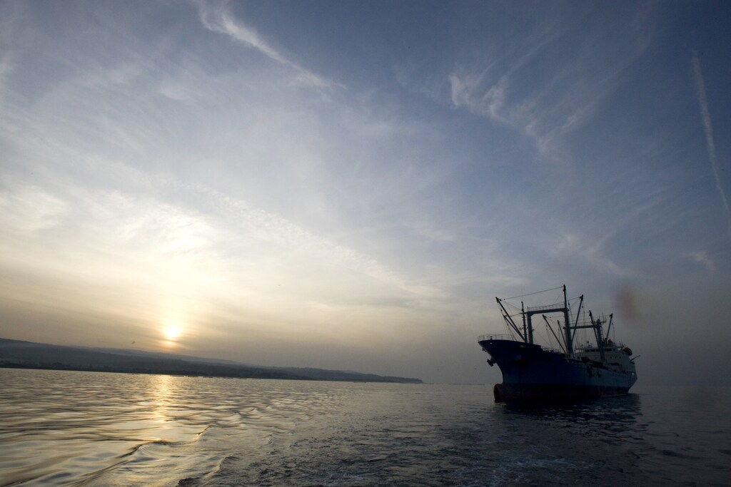 A refrigerated fish transport ship lies off the Calabrian coast in southern Italy November 20, 2009. Fishing nations agreed to cut by about a third the quota for Atlantic bluefin tuna, a giant fish prized by sushi lovers, numbers of which have been decimated by commercial catches. Picture taken November 20, 2009. REUTERS/Tony Gentile (ITALY SOCIETY ENVIRONMENT ANIMALS FOOD) - GM1E5BM1Q6101