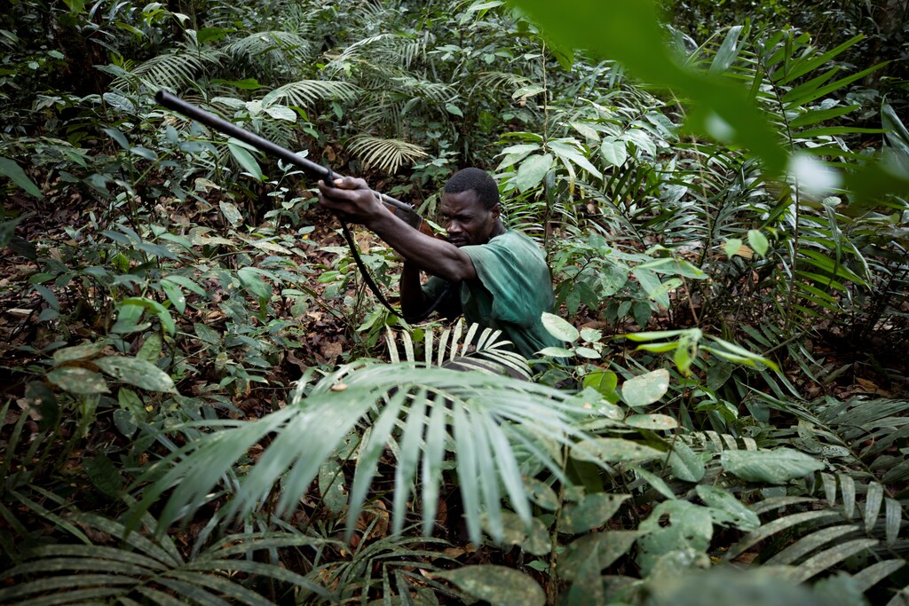 Pascal aims his gun at a monkey as he hunts in the forest near the city of Mbandaka, Democratic Republic of the Congo, April 5, 2019.