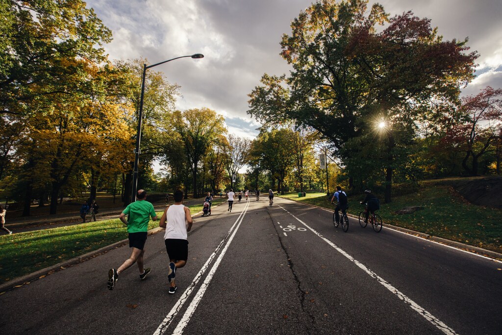 Regular exercise reduces the risk of cancer and cardiovascular disease, as well as improve memory.