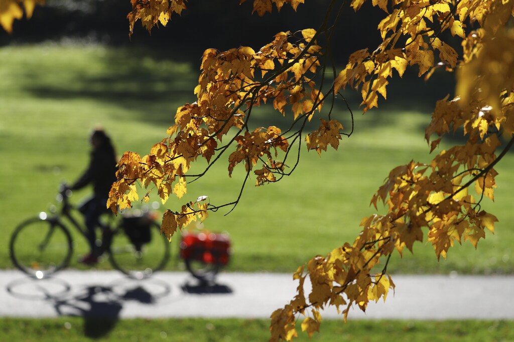 A cyclist rides his bike through a park in Hanau, Germany October 31, 2016. REUTERS/Kai Pfaffenbach - RTX2R6F8