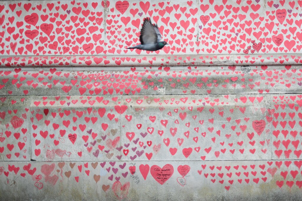 A bird flies past the National Covid Memorial wall beside St Thomas' hospital set as a memorial to all those who have died so far in the UK from the coronavirus disease (COVID-19), amid the coronavirus pandemic in London, Britain April 8, 2021. REUTERS/Hannah McKay - RC2RRM95IHFJ