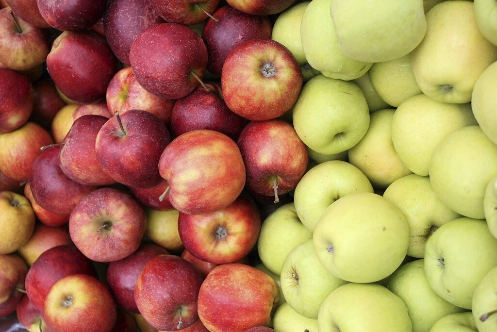 Apples are displayed in a wheel barrow during an event promoting Polish apples in Warsaw August 6, 2014. Moscow announced its ban on most fruit and vegetable imports from Poland last week following the European Union's decision to impose sanctions targeting Russia's banking, oil and defence sectors because of the Kremlin's actions in Ukraine. Poland is the world's largest exporter of apples with more than two-thirds of them going to Russia. The statistics office put the value of Poland's apple exports to Russia last year at 273 million euros ($366 million). REUTERS/Franciszek Mazur/Agencja Gazeta (POLAND - Tags: POLITICS BUSINESS AGRICULTURE) ATTENTION EDITORS - THIS IMAGE HAS BEEN SUPPLIED BY A THIRD PARTY. IT IS DISTRIBUTED, EXACTLY AS RECEIVED BY REUTERS, AS A SERVICE TO CLIENTS. POLAND OUT. NO COMMERCIAL OR EDITORIAL SALES IN POLAND - RTR41HA6