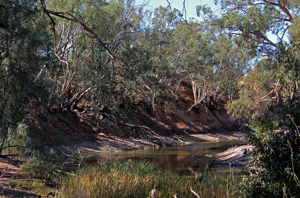 The drought-affected Darling River sits well below its banks at Pooncarie, a town in outback western New South Wales, Australia April 25, 2019.