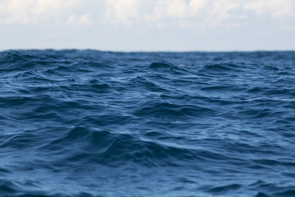 The Pacific Ocean
