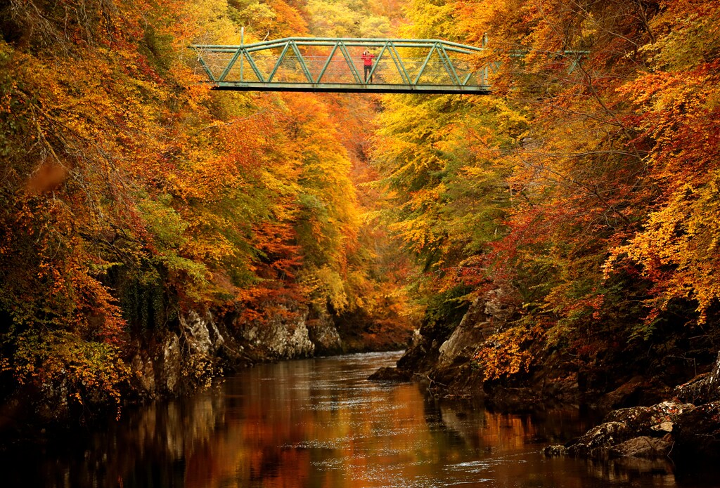 Autumnal scenes as trees show off their red, brown and orange leaves over a river.