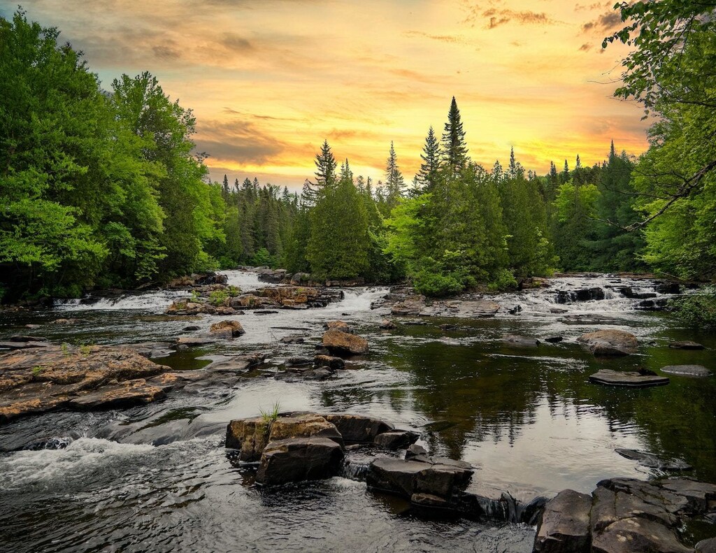 Two years on, we are seeing progress in the movement to conserve, restore and grow a trillion trees by 2030.