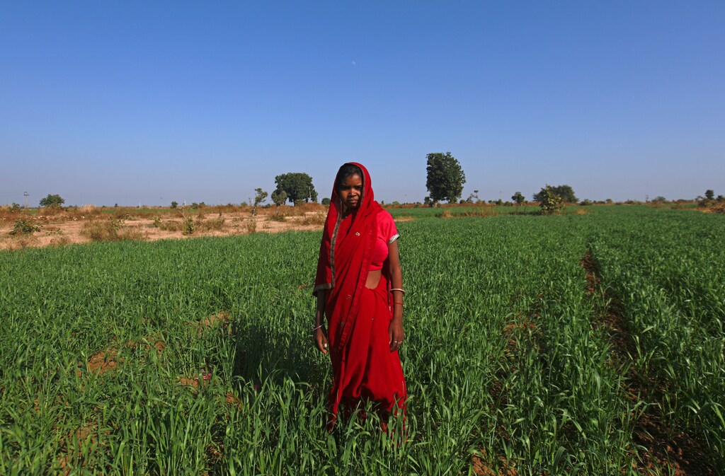 Child bride Krishna, 14, poses in a wheat field on the outskirts of her village near Baran, located in the northwestern state of Rajasthan, January 21, 2013.