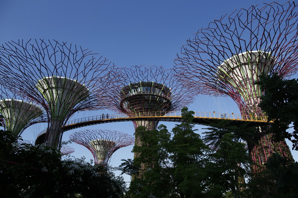 Visitors walk along an elevated walkway connecting giant concrete tree-like structures called Supertrees at Gardens by the Bay in Singapore May 28, 2014.