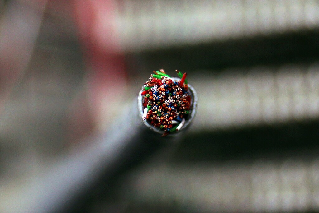 Optical fibre cables of Telecom Italia are seen in a telephone exchange in Rome, Italy December 20, 2013. REUTERS/Alessandro Bianchi/File Photo - D1AETGLJLSAA