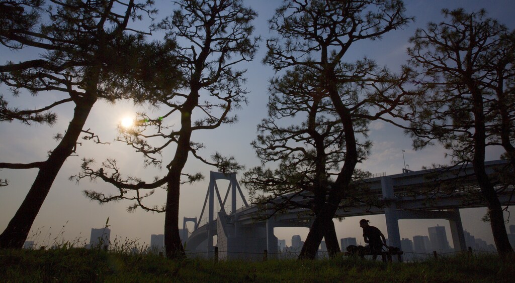 A man sits on a bench under trees at the Odaiba waterfront facing the Rainbow Bridge in Tokyo June 15, 2015.