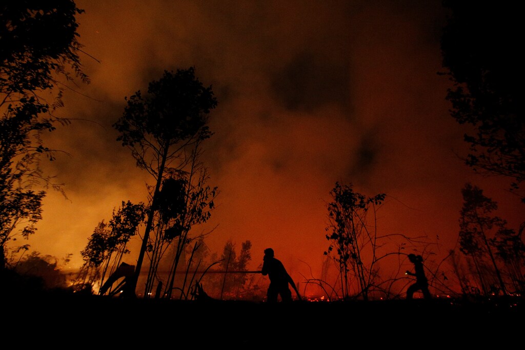 Firefighters try to extinguish forest fires at Sebangau National Park area in Palangka Raya, Central Kalimantan province, Indonesia, September 14, 2019. REUTERS/Willy Kurniawan SEARCH "KURNIAWAN RAYA" FOR THIS STORY. SEARCH "WIDER IMAGE" FOR ALL STORIES. TPX IMAGES OF THE DAY. - RC1C6C839230
