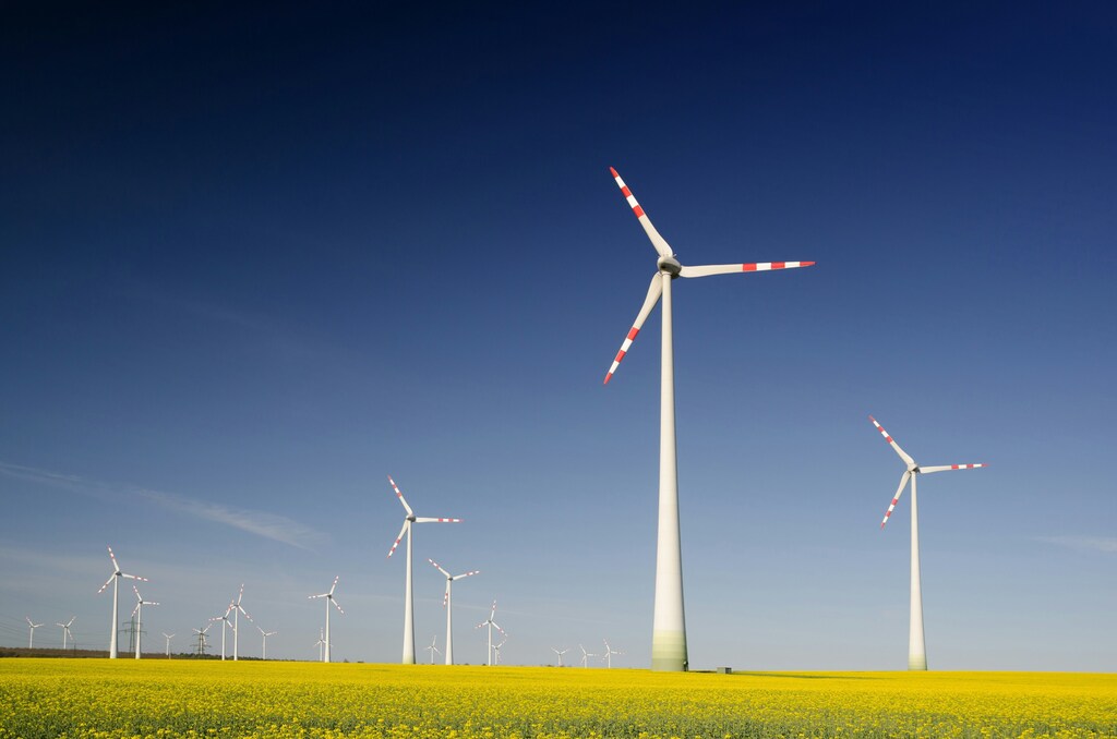 Turbinas eólicas sobre hierba verde. La contratación pública verde tiene un potencial inmenso.