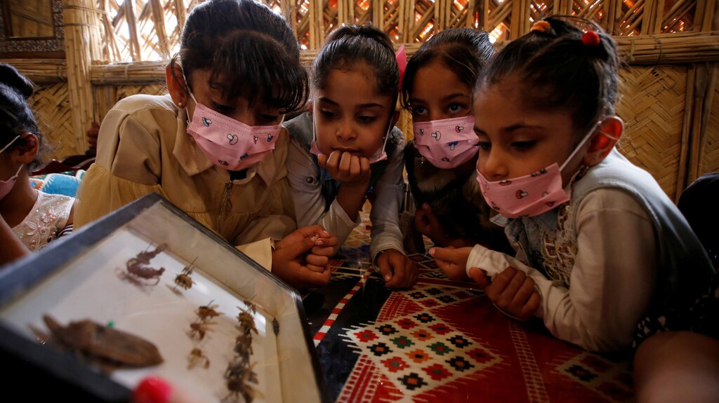 a group of children look at a display box filled with insects