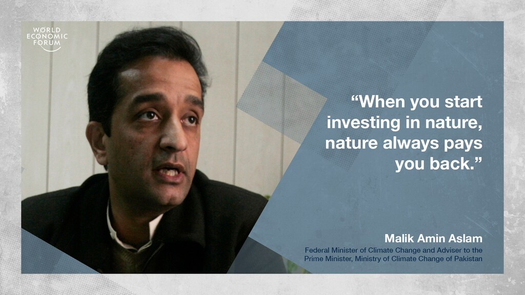Malik Amin Aslam