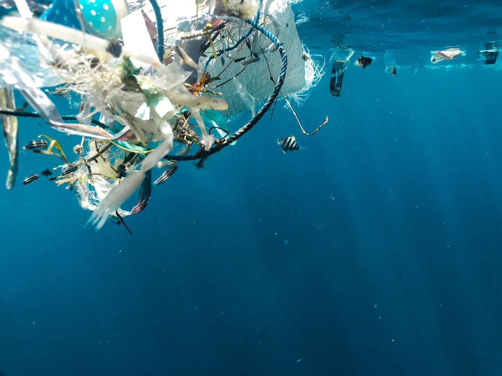 Waste in ocean water