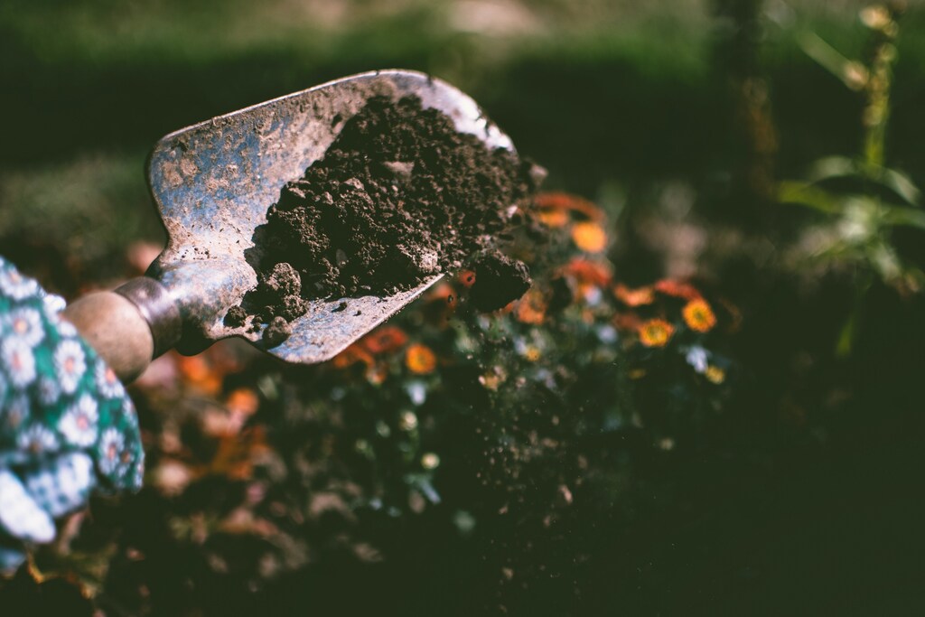 There's a growing number of ways to be a part of the circular economy, even at home.