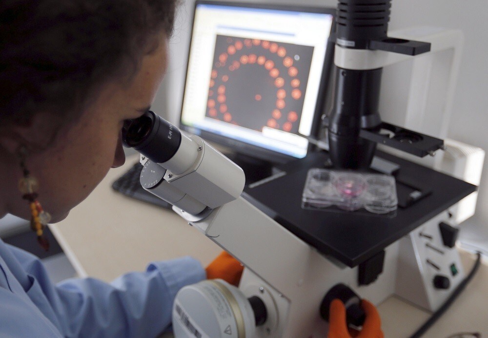 A researcher uses a microscope after a laser bio- 3D printing of human cells in the laboratory Biotis at INSERM (the National Institute for Health and Medical Research) in Pessac near Bordeaux October 29, 2014. Producing human tissue will become possible thanks to a team of Bordeaux researchers developing a new technique for bio- 3D printing with laser precision.