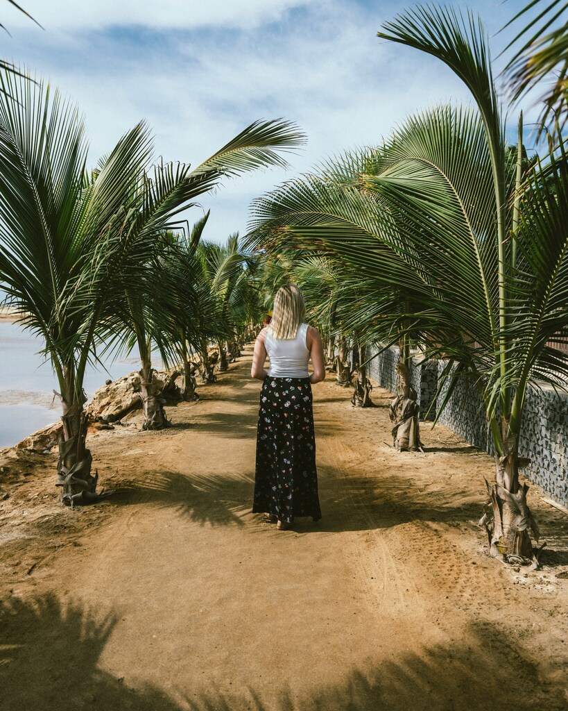 Mujer con maxi falda en tramo de playa junto al mar, con palmeras: Los nómadas digitales presentan una alternativa viable al trabajo de temporada.