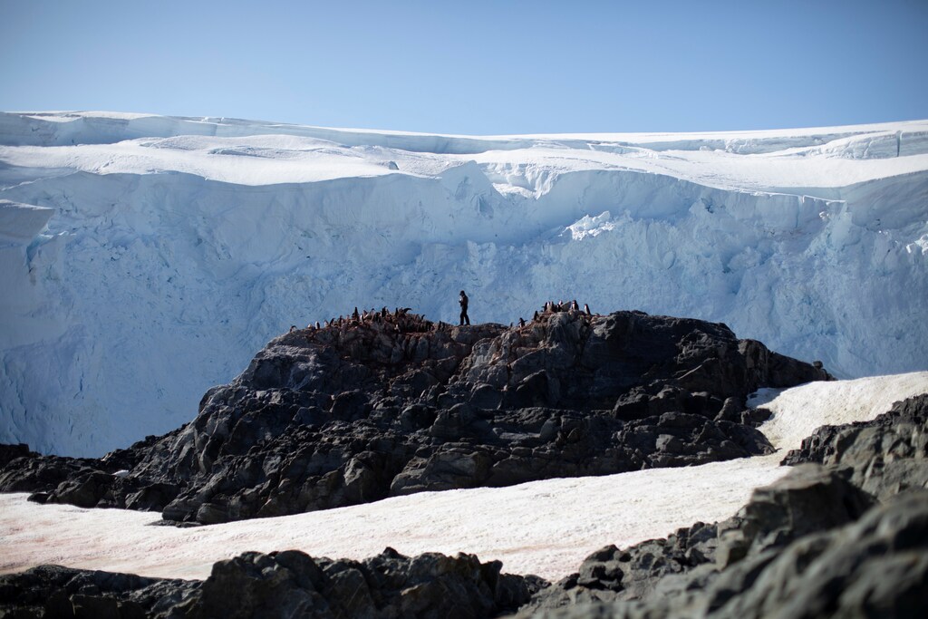 Steve Forrest, a scientist, counts the number of chinstrap penguins in a colony standing on Anvers Island, Antarctica, February 4, 2020. REUTERS/Ueslei Marcelino SEARCH "ANTARCTICA PENGUINS" FOR THIS STORY. SEARCH "WIDER IMAGE" FOR ALL STORIES. - RC20YE9M26UP