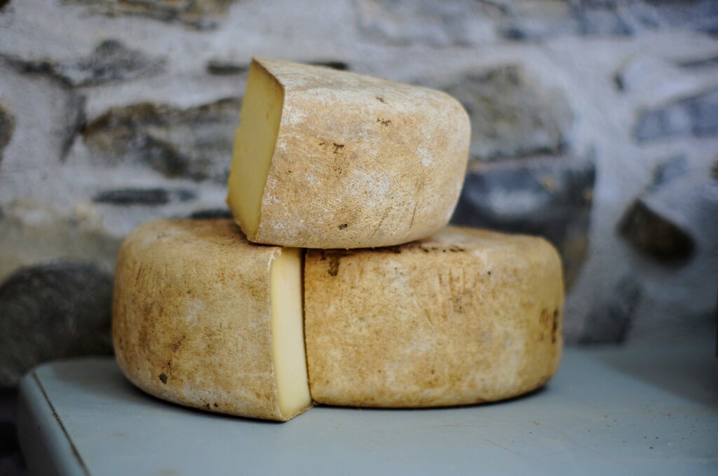 Cheesemaker First Milk has its own plant that uses cheese energy to produce biogas.