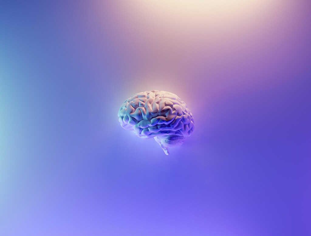 3D graphic of a brain.