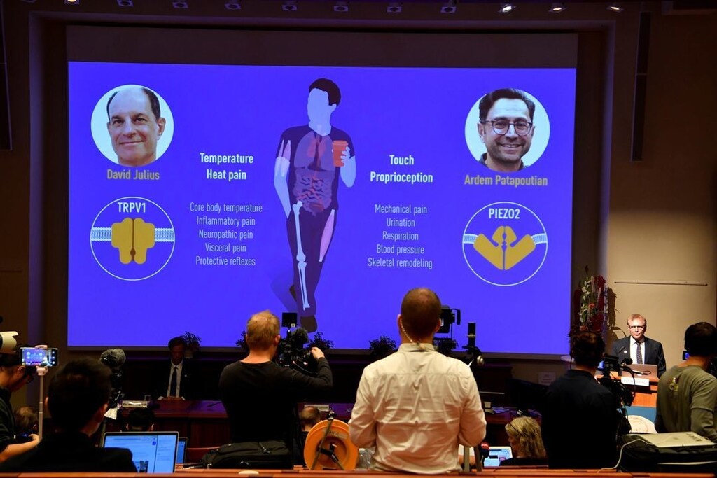Nobel Committee member Patrik Ernfors explains the 2021 Nobel Prize in Physiology or Medicine during a press conference at the Karolinska Institute in Stockholm, Sweden October 4, 2021.