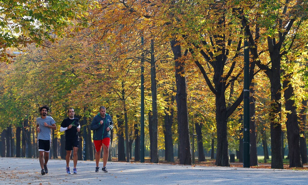 Joggers run through an alley of trees on an atumn day in Vienna, Austria, October 28, 2016. REUTERS/Heinz-Peter Bader - RTX2QU38