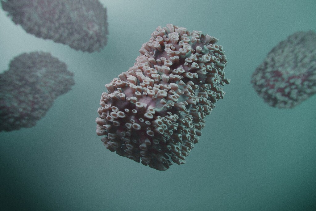 Monkeypox 3D graphic.