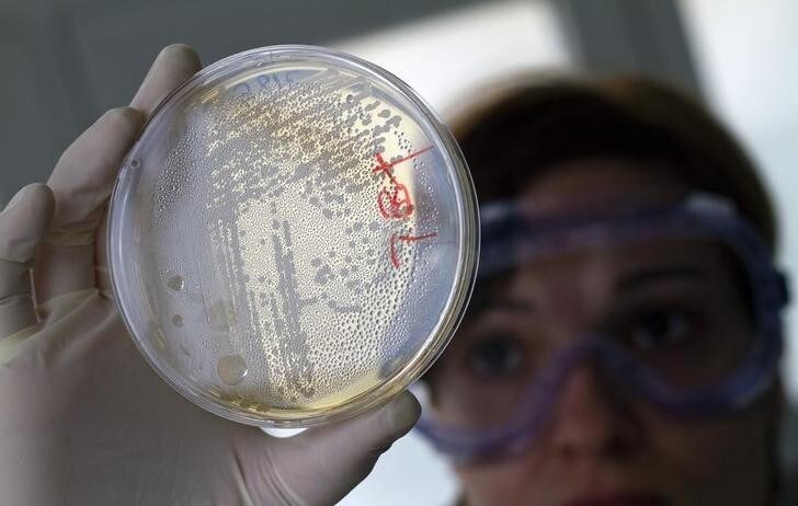 A laboratory worker looks for strains of E.coli bacteria in vegetable cells placed in a petri dish, in La Mojonera near Almeria in southeastern Spain June 2, 2011. A deadly outbreak of E.coli centred in Germany and spreading across Europe is caused by a dangerous new strain, Chinese scientists who analyzed the bacteria said. The scientists said the outbreak, which has killed 17 and made more than 1,500 others ill in at least 10 European countries and is thought to come from vegetables, carried genes making it resistant to several classes of antibiotics. REUTERS/Francisco Bonilla (SPAIN - Tags: HEALTH BUSINESS AGRICULTURE SCI TECH)