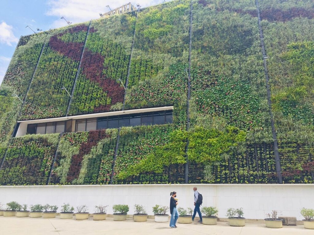 this is a vertical garden on a city hall building in Medellin, Colombia, July 16 2021