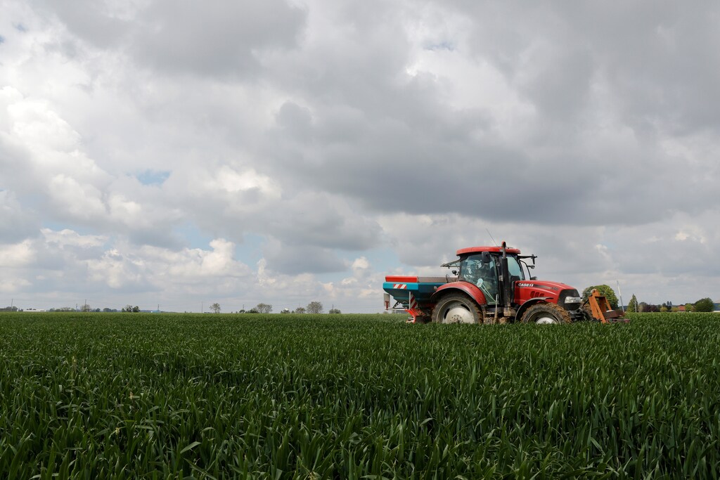 A tractor in a wheat field.