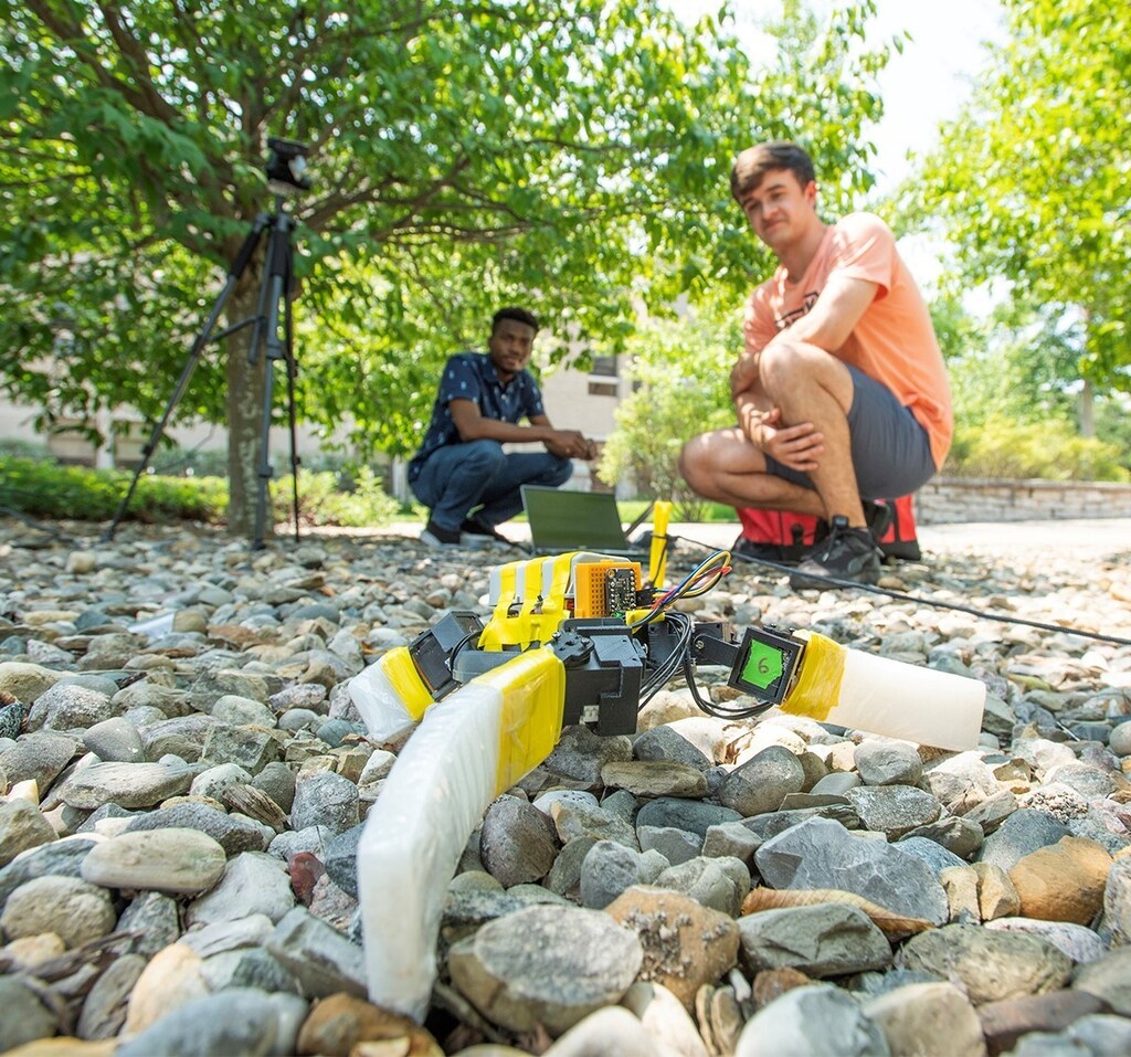 Robot sea turtles on the ground.
